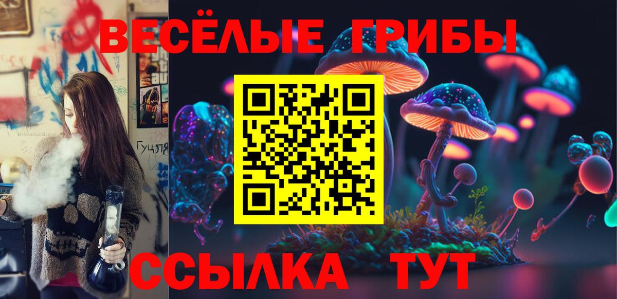 Галлюциногенные грибы Psilocybine cubensis Великие Луки